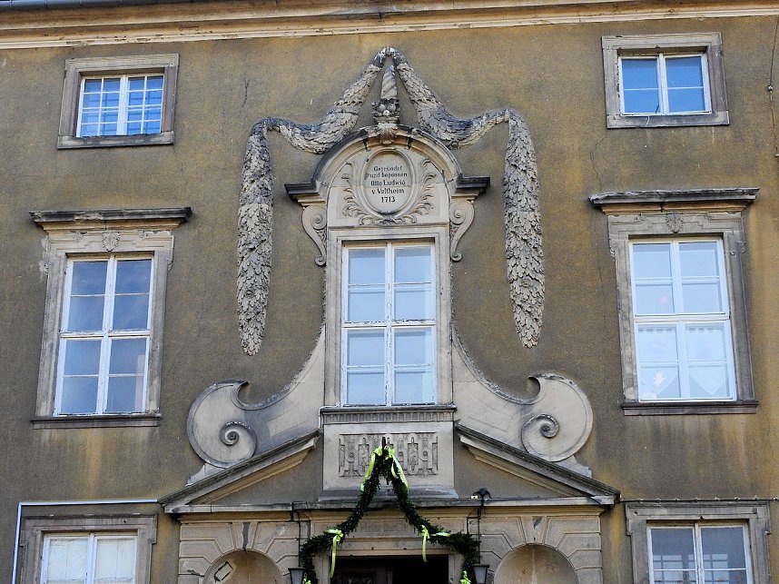 Winterlinge bei Schloss Ostrau