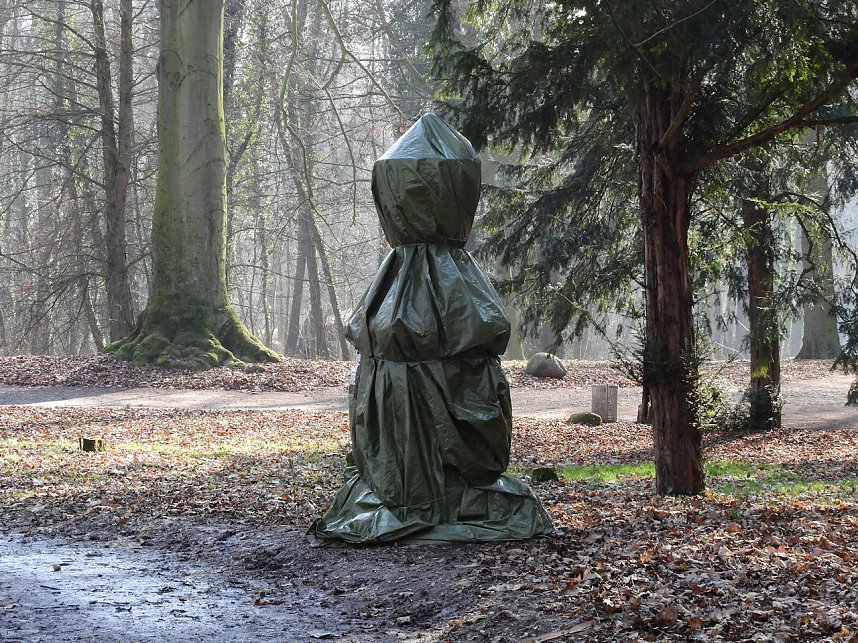 Winterlinge bei Schloss Ostrau