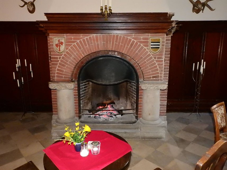 Winterlinge bei Schloss Ostrau