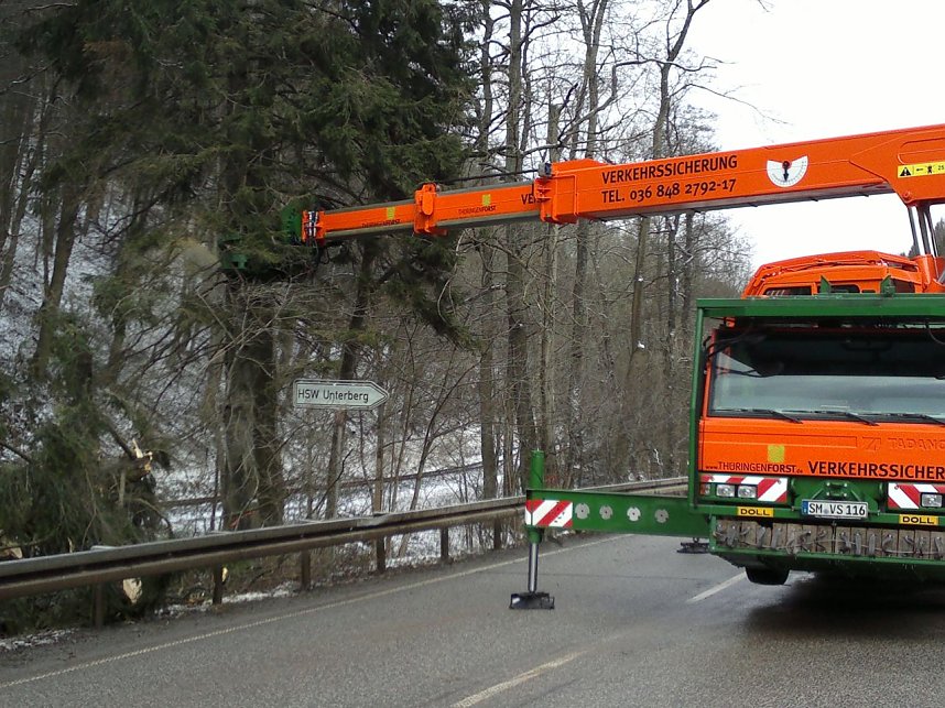 Holzeinschlag im Schuhmannstal