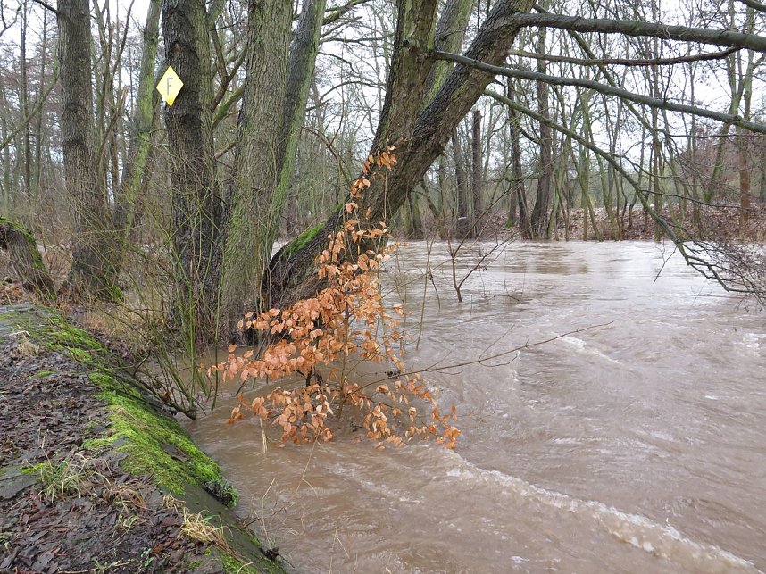 Die Zorge in Nordhausen am Vormittag