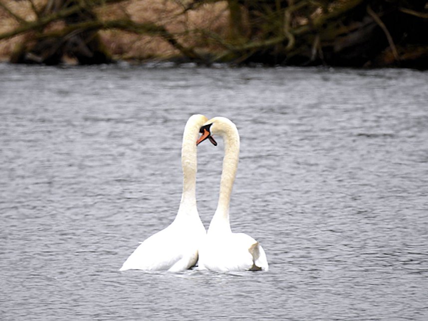 Fr&uuml;hlingsgef&uuml;hle