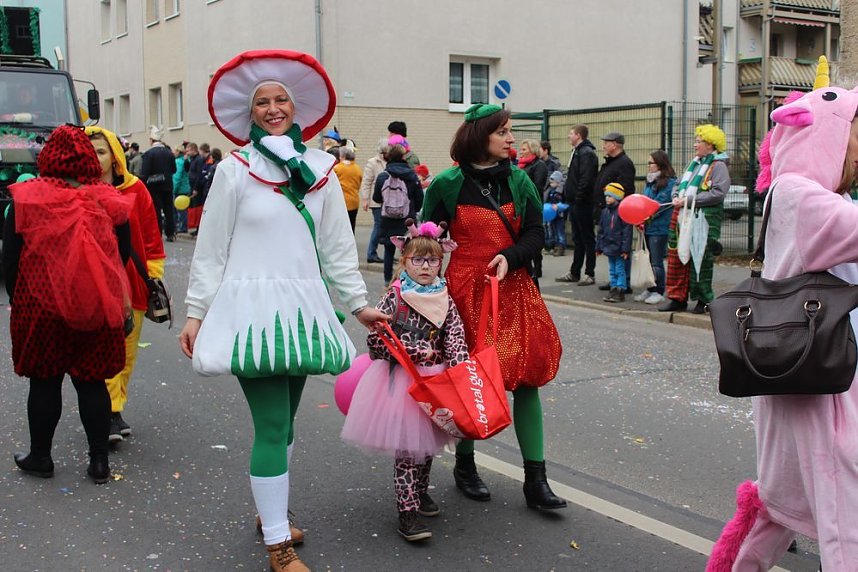 N&auml;rrinnen und Narren ziehen durch die Stadt (2)