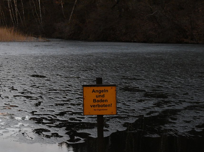 Peter Blei besucht die B&uuml;ffel