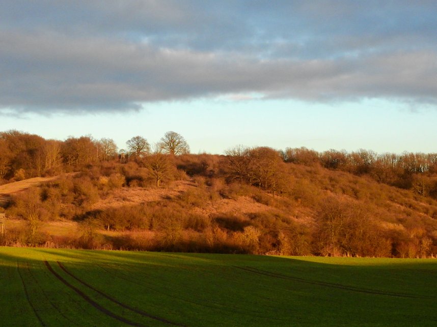 Peter Blei besucht die B&uuml;ffel