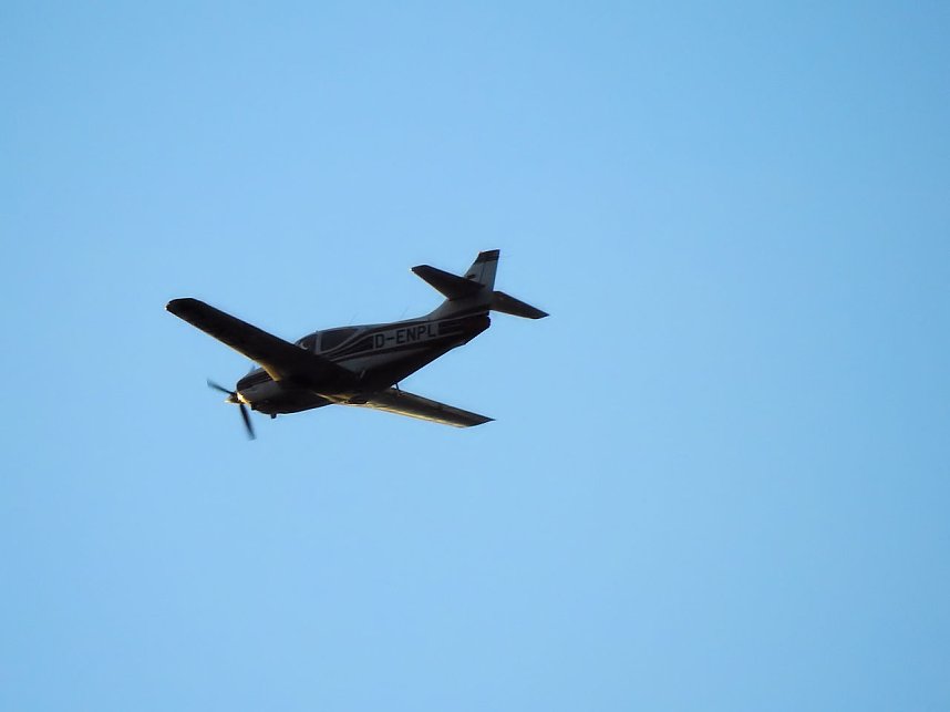Peter Blei besucht die B&uuml;ffel