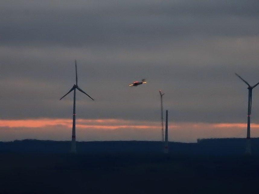 Peter Blei besucht die B&uuml;ffel