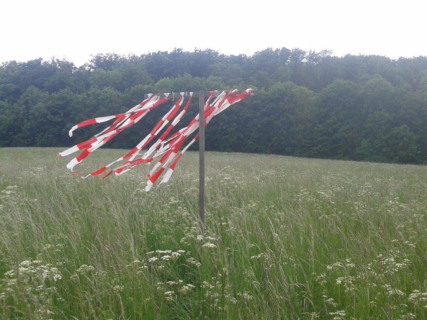 Leider fallen Jahr f&uuml;r Jahr viele Rehkitze dem Schneidwerk der M&auml;hmaschinen zum Opfer. Wildscheuchen sollen dies verhindern helfen.