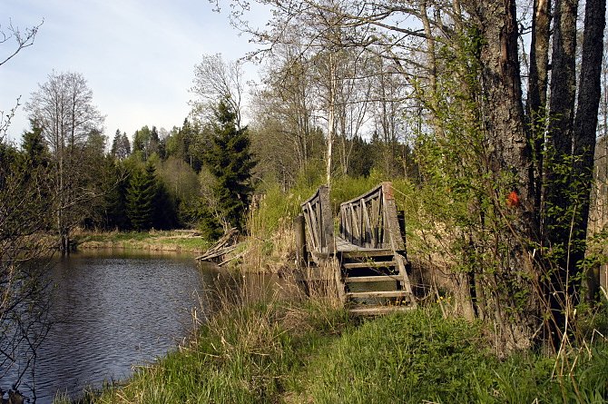 12.05.06: Naturschutzgebiet Nedre B&auml;vean