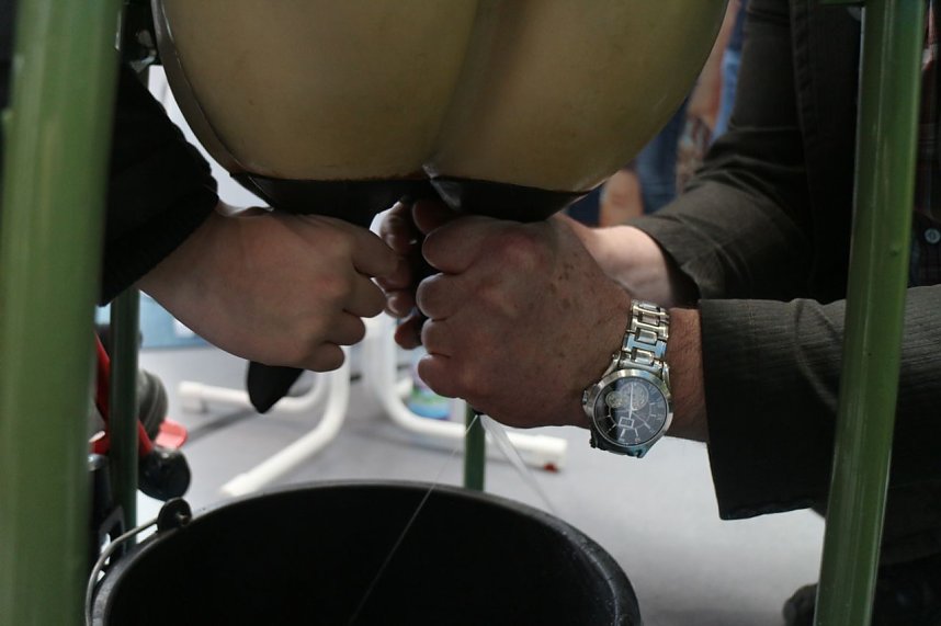 19. Forum Berufsstart in der Wiedigsburghalle Nordhausen