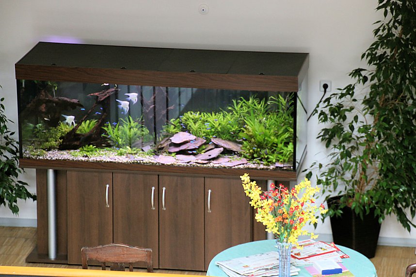 Besuch im St. Jakobhaus