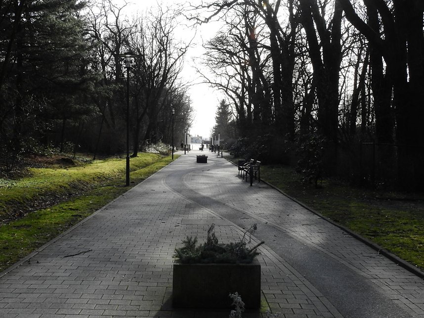 Peter Blei in Bad D&uuml;ben