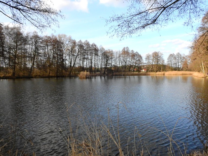 Peter Blei in Bad D&uuml;ben