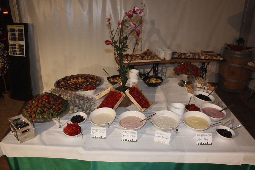 22. Nordth&uuml;ringer Fr&uuml;hlingsball