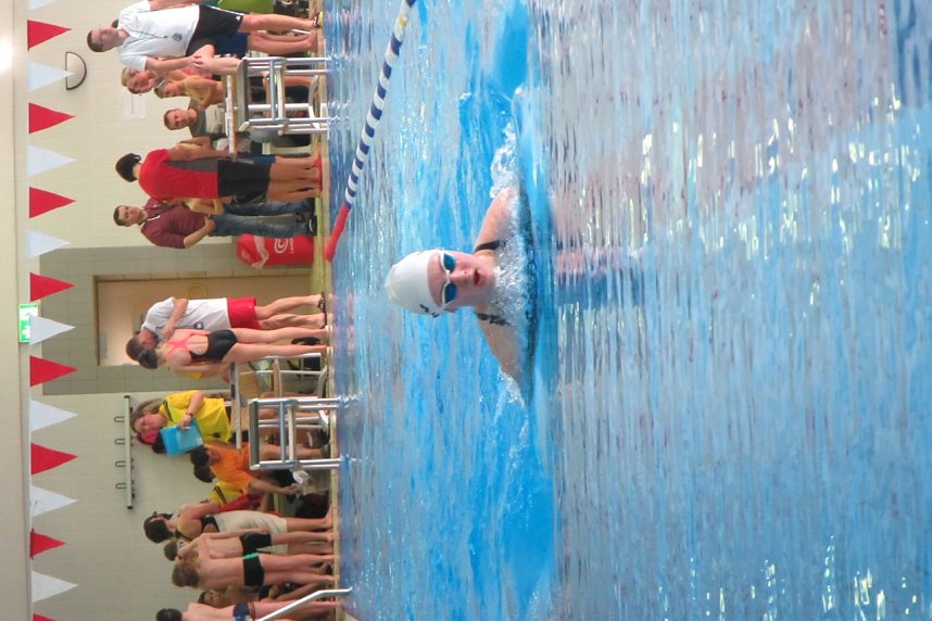 Erfolgreich auf allen Bahnen - die Nordh&auml;user Schwimmer in Wernigerode