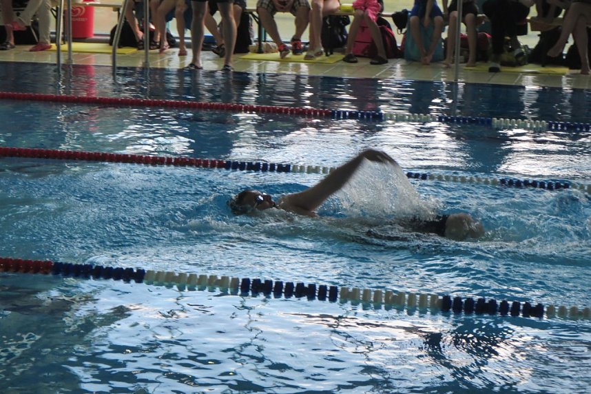 Erfolgreich auf allen Bahnen - die Nordh&auml;user Schwimmer in Wernigerode
