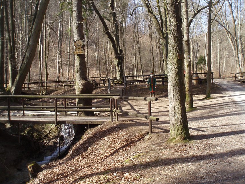 Der Stadtwald Bleicherode