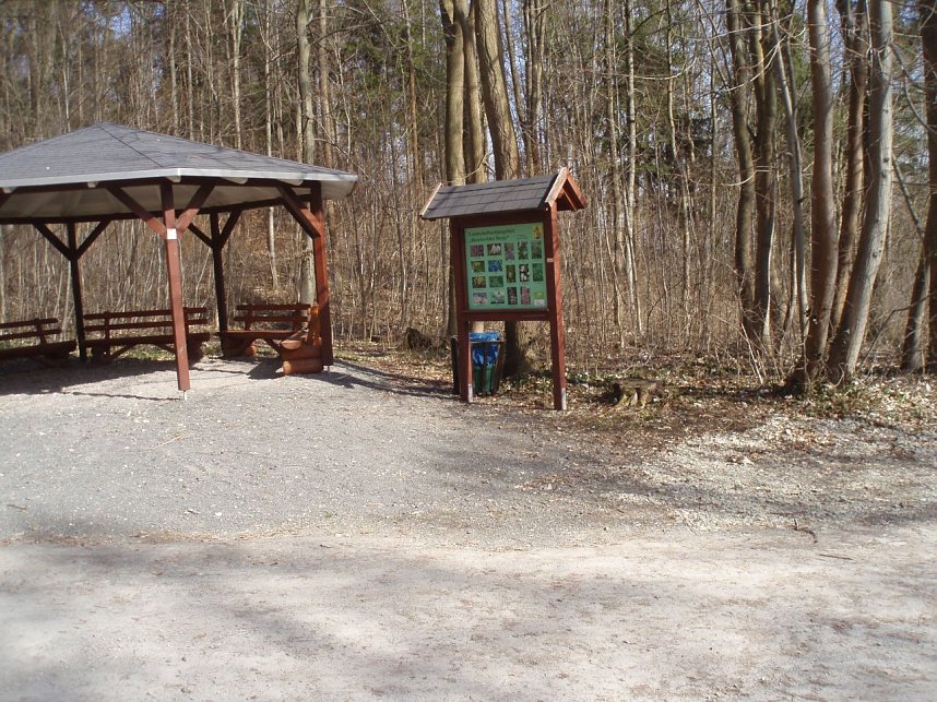 Der Stadtwald Bleicherode