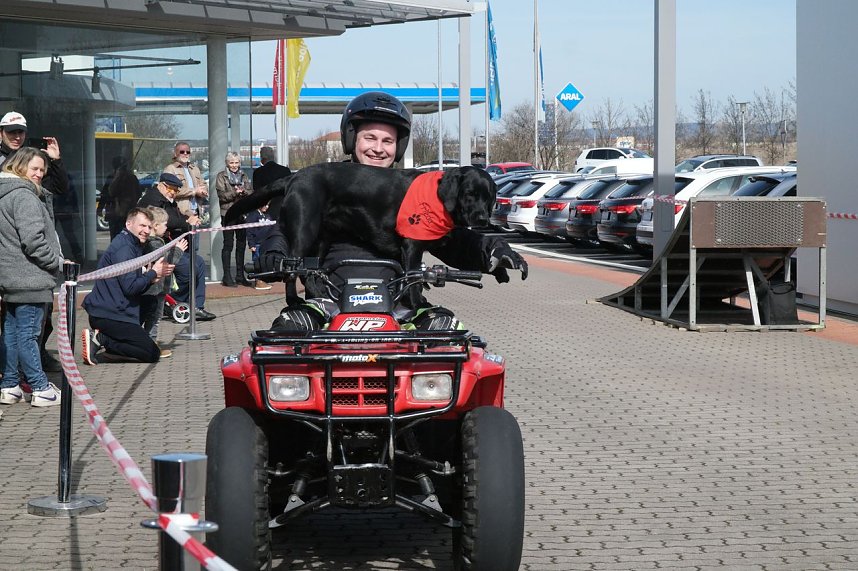 Stuntshow mit Mike Auffenberg