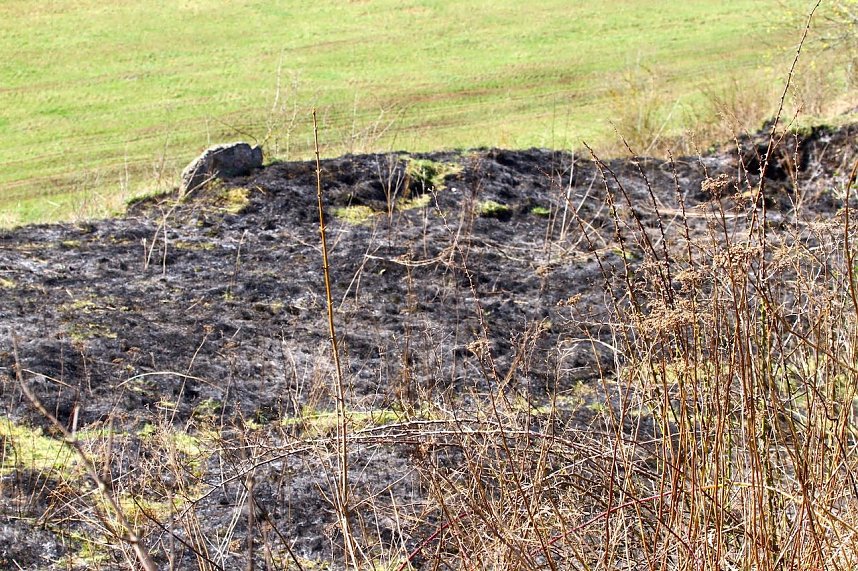 Fl&auml;chenbrand bei Sollstedt