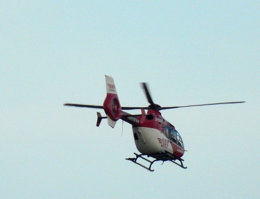 Die Natur erwacht am Rande der Stadt