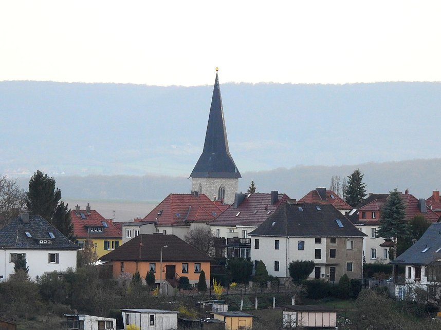 Die Natur erwacht am Rande der Stadt