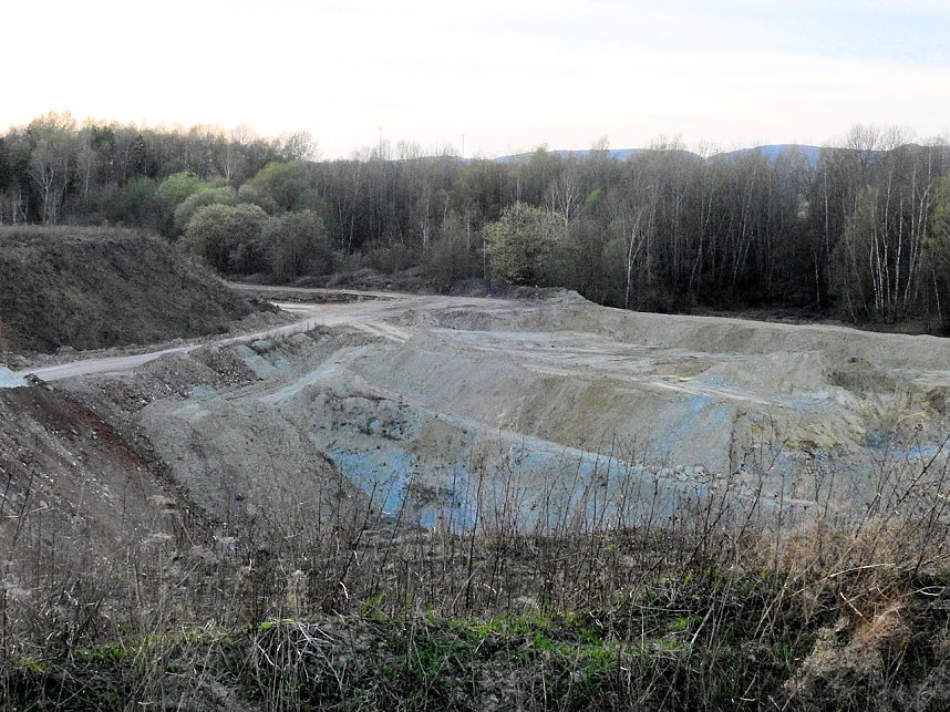 Die Natur erwacht am Rande der Stadt