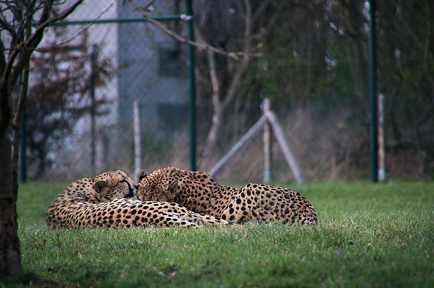 Besuch auf dem Possen