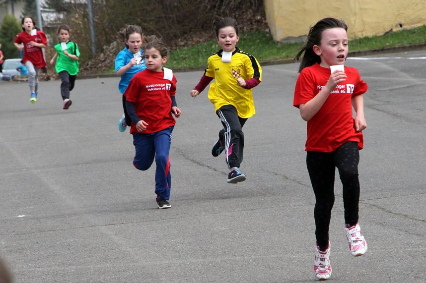 Fr&uuml;hjahrscrosslauf im Gehege
