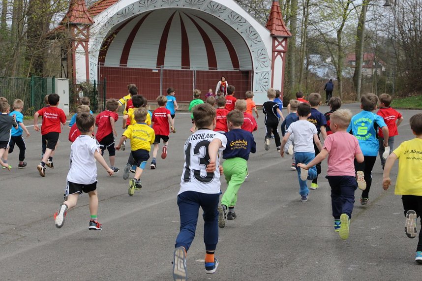 Fr&uuml;hjahrscrosslauf im Gehege