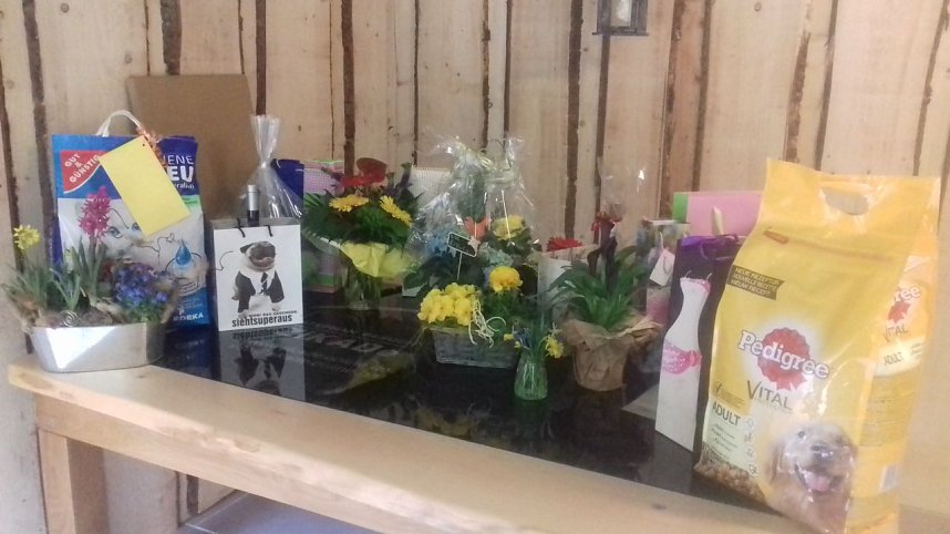 Tierpension er&ouml;ffnet