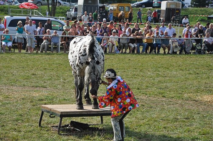 Kampf der Giganten Sundhausen