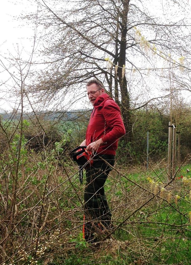 Fr&uuml;hjahrsputz im Ahornpark