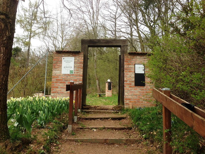 Fr&uuml;hjahrsputz im Ahornpark