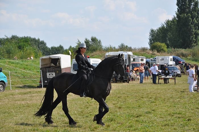 Kampf der Giganten Sundhausen