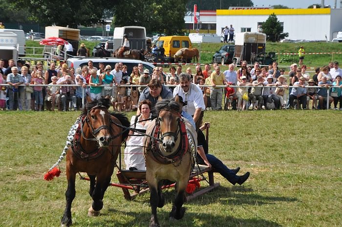 Kampf der Giganten Sundhausen