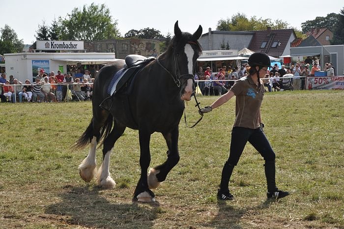 Kampf der Giganten Sundhausen