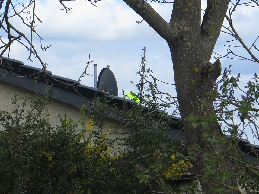 T&ouml;dlicher Brand in Niedersachswerfen