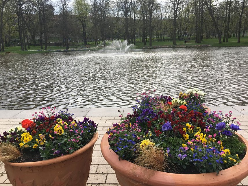 Auf Info-Tour in Apolda