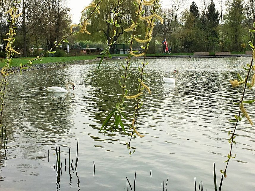 Auf Info-Tour in Apolda