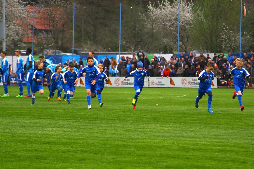 Verloren, aber gek&auml;mpft