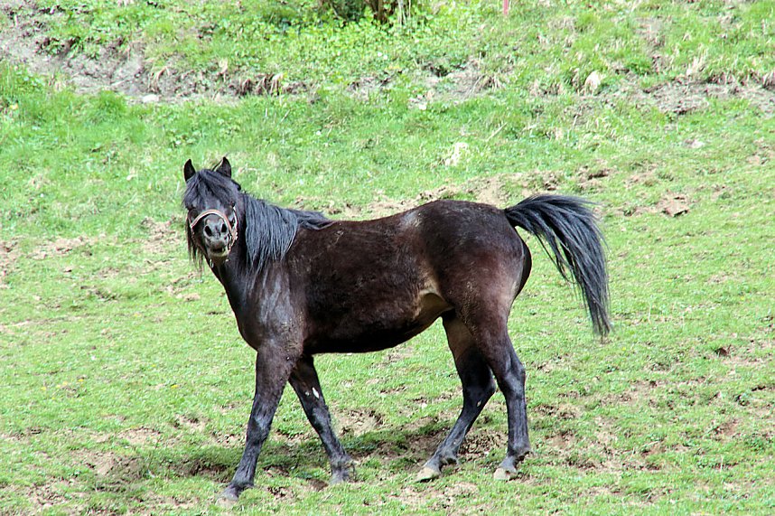 Peter Blei unterwegs in Stolberg