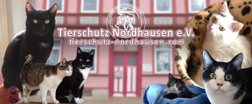 Fr&uuml;hlingsfest im Tierschutzhaus