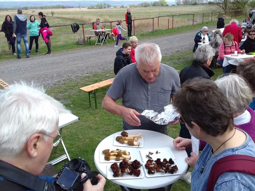 Fr&uuml;hjahreswanderung des Harzklub Auleben