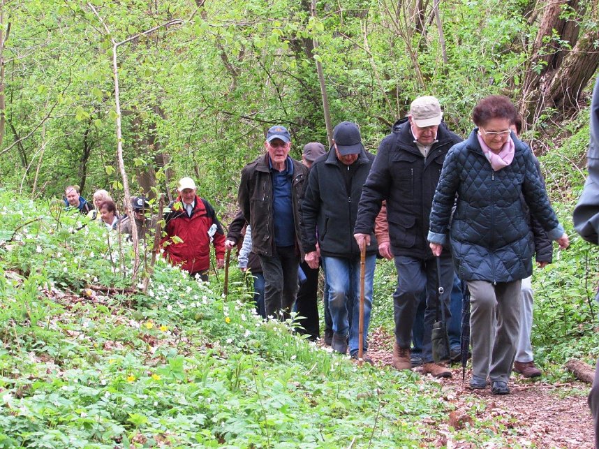 Bergmannsverein St. Barbara wanderte in Ilfeld