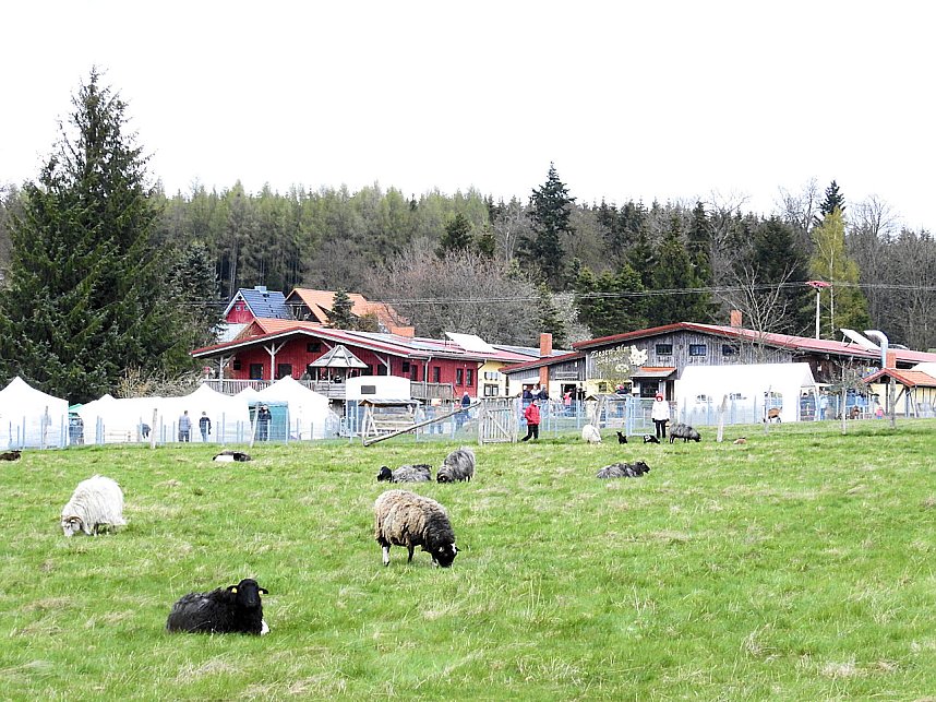 L&auml;mmerfest auf der Ziegenalm Sophienhof