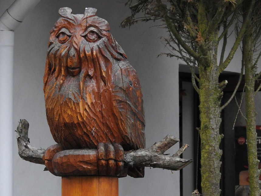 L&auml;mmerfest auf der Ziegenalm Sophienhof