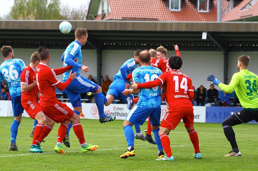 2:1-Sieg gegen Neustrelitz