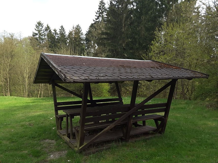 Stadtwald Heringen - die Gr&uuml;ne Lunge der Goldenen Aue