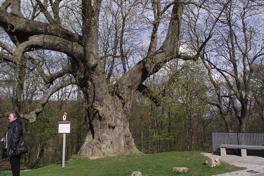 Landsenioren unterwegs im Eichsfeld